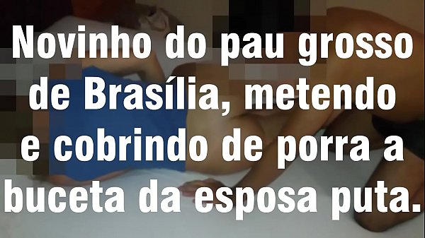 Novinho Do Pau Grosso