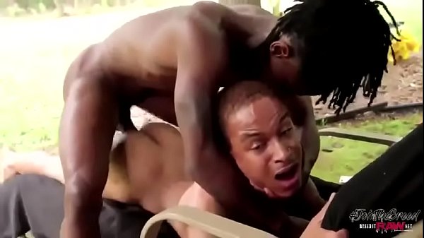 Sexo Anal Negros Gay