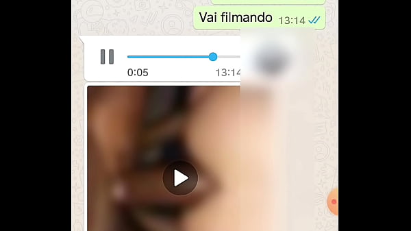 Whatsapp Caiu De Novo