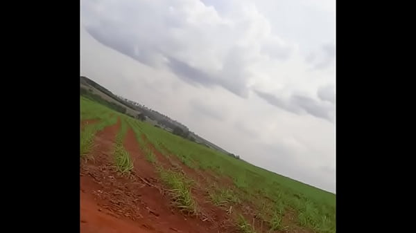 Alergia Do Calor Na Bunda