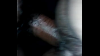 Pazini